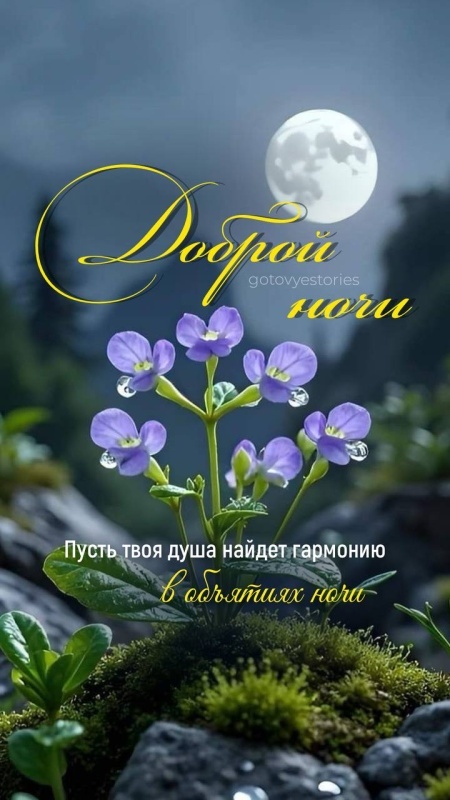 Картинки "Доброй летней ночи". Добрый летний вечер - картинки с пожеланиями