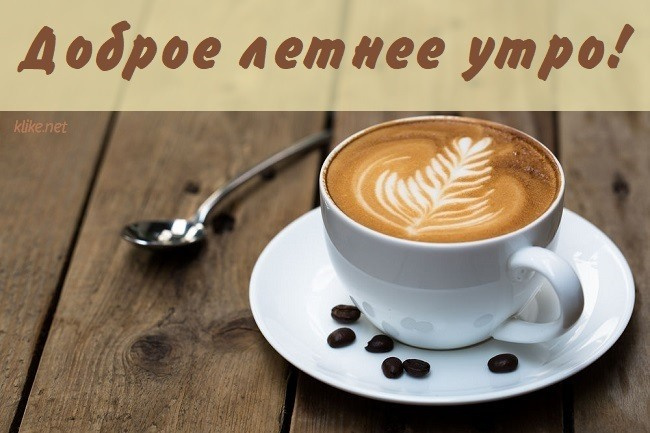 Картинки с добрым летним утром (195 открыток). Позитивные картинки с пожеланием Доброго летнего утра