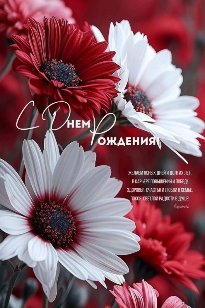 Картинки на День рождения женщине (100 открыток). Красивые картинки с Днем рождения женщине