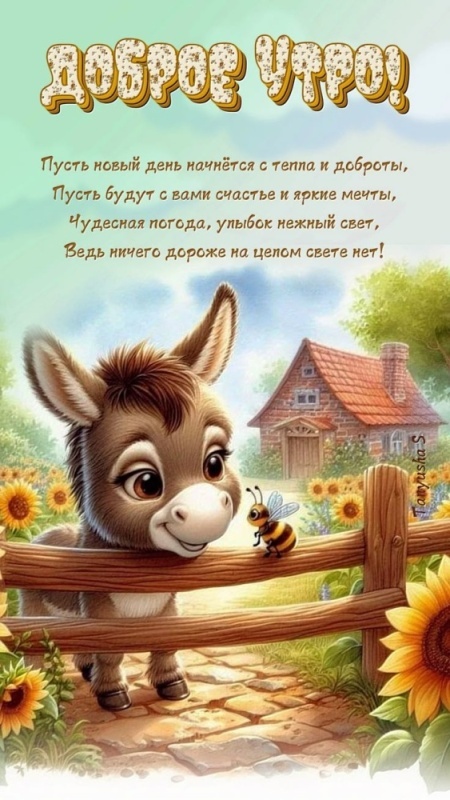 Картинки Доброе июльское утро. Картинки Доброе июльское утро прикольные