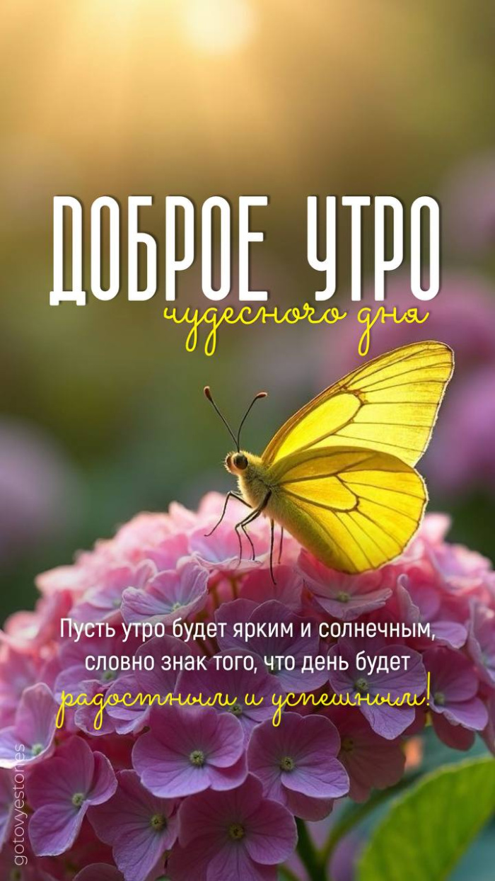 Картинки с добрым летним утром (70 открыток). Доброе летнее утро - картинки с пожеланиями