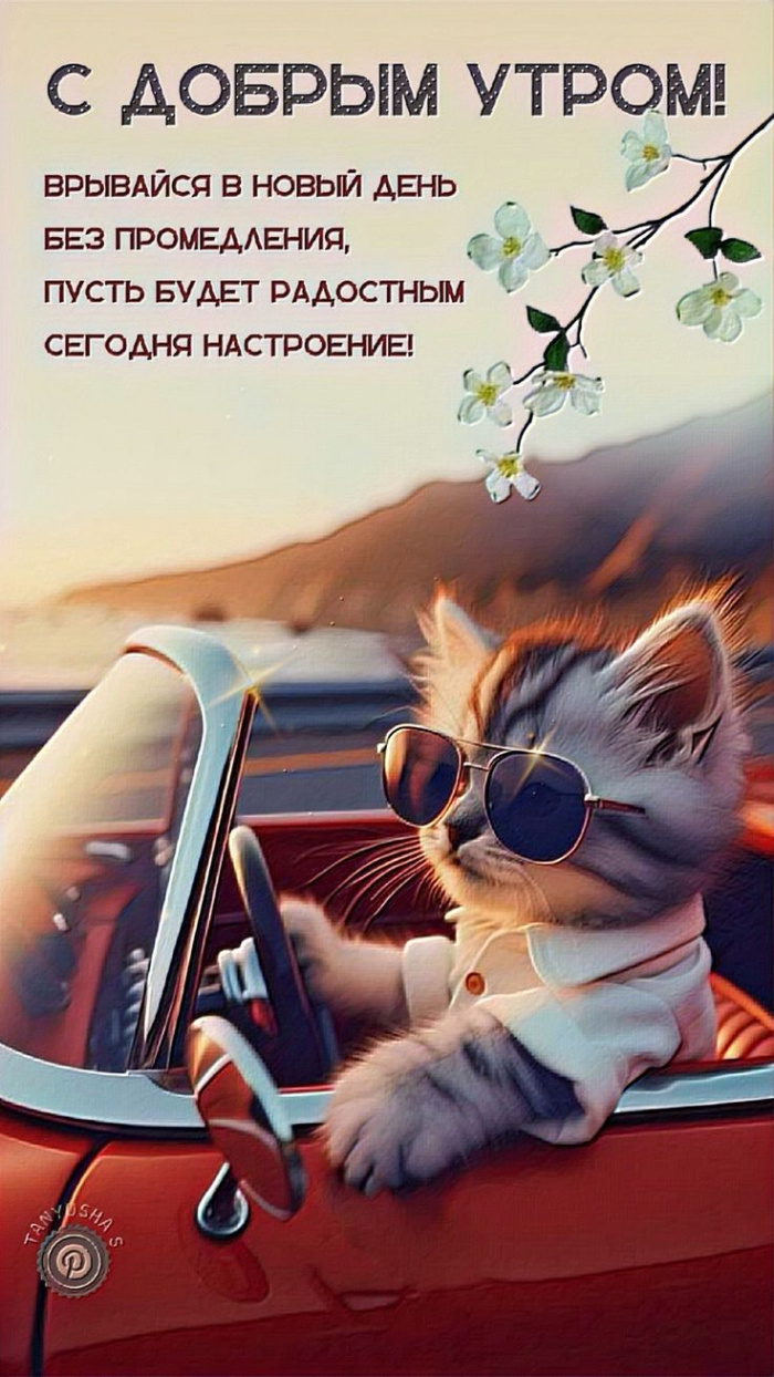 Прикольные картинки с добрым утром (50 открыток). Доброе утро - прикольные картинки с надписями