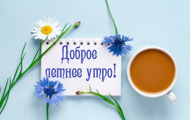 Картинки с добрым летним утром (195 открыток). Позитивные картинки с пожеланием Доброго летнего утра