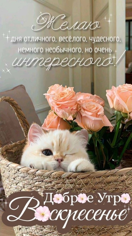 Картинки Доброе утро воскресенья (90 открыток). Прикольные картинки Доброе утро воскресенья