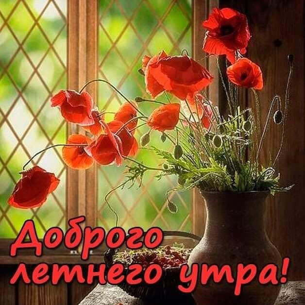 Картинки с добрым летним утром (195 открыток). Доброе летнее утро: картинки с надписями