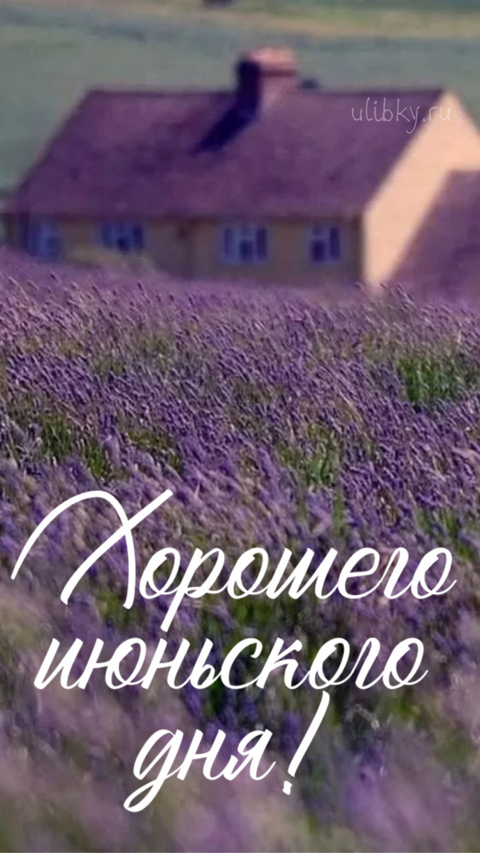 Картинки с добрым июньским утром (140 открыток). Позитивные картинки с пожеланием Доброго июньского утра