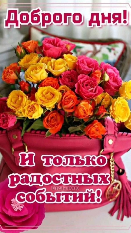 Красивые картинки "Хорошего дня" . Картинки "Хорошего дня" красивые летние