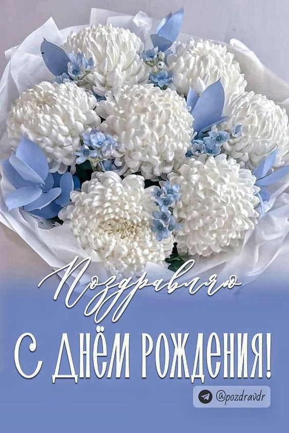 Картинки на День рождения женщине (100 открыток). Красивые картинки с Днем рождения женщине