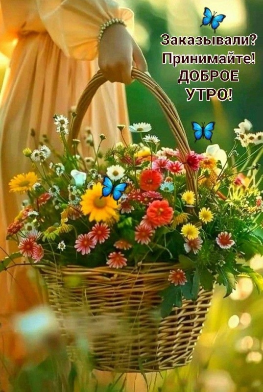 Картинки Доброе июльское утро. Красивые картинки Доброго июльского утра