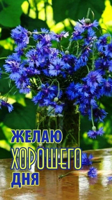 Красивые картинки "Хорошего дня" . Картинки Хорошего и доброго дня