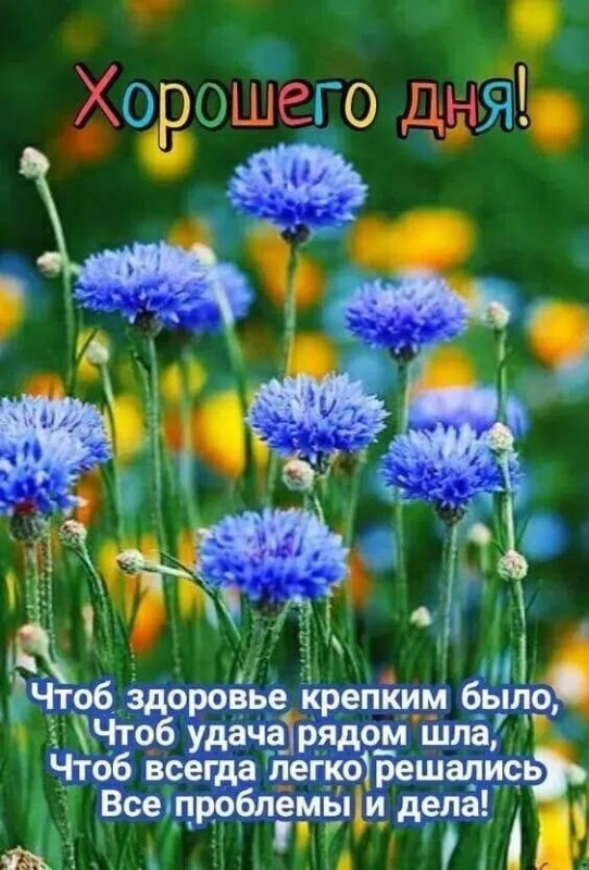 Красивые картинки "Хорошего дня" . Картинки "Хорошего дня" красивые летние