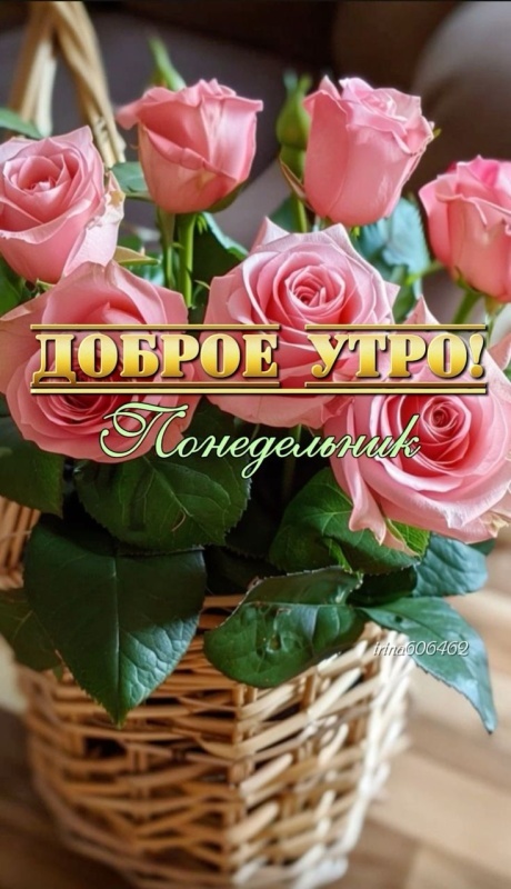 Открытки с Добрым утром понедельника (80 картинок). Картинки Доброе утро понедельника (красивые и новые)
