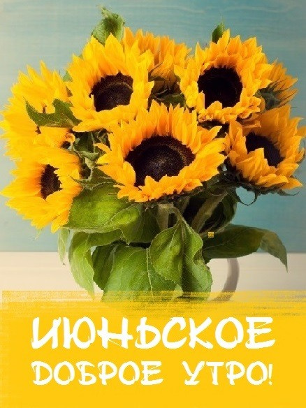 Картинки с добрым июньским утром (140 открыток). Доброе утро июня: картинки с надписями