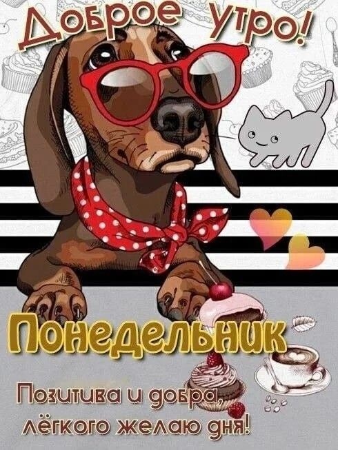Открытки с Добрым утром понедельника (80 картинок). Прикольные картинки с добрым утром понедельника