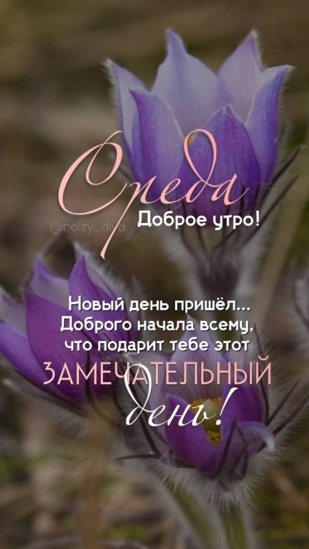 Картинки Доброе утро среды (90 открыток). Доброе утро среды - картинки с пожеланиями