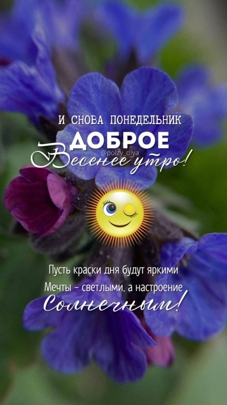 Открытки с Добрым утром понедельника (80 картинок). Картинки Доброе утро понедельника (красивые и новые)