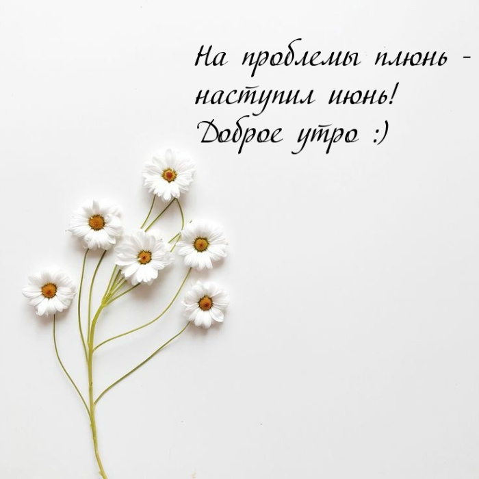Картинки с добрым июньским утром (140 открыток). Доброе утро июня: картинки с надписями