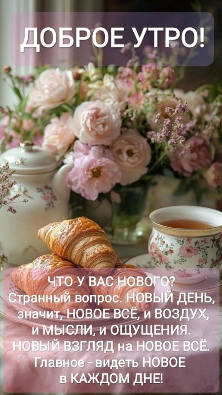 Открытки с Добрым утром понедельника (80 картинок). Картинки Доброе утро понедельника (красивые и новые)