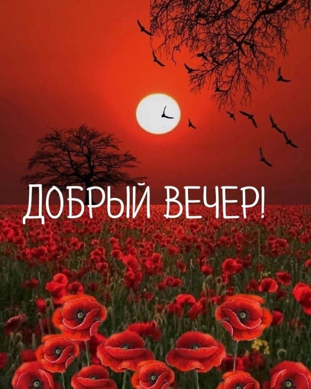 Картинки "Добрый вечер" летние, новые, красивые
