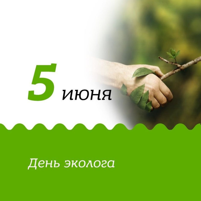 Картинки с Днем эколога (60 открыток). Красивые картинки с Днем эколога