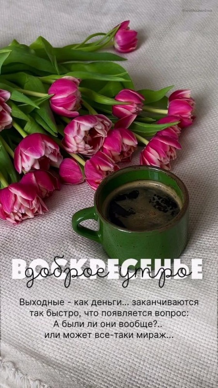 Картинки Доброе утро воскресенья (90 открыток). Картинки "Доброе утро воскресенья" красивые и новые