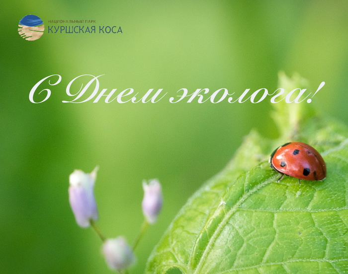 Картинки с Днем эколога (60 открыток). Красивые картинки с Днем эколога
