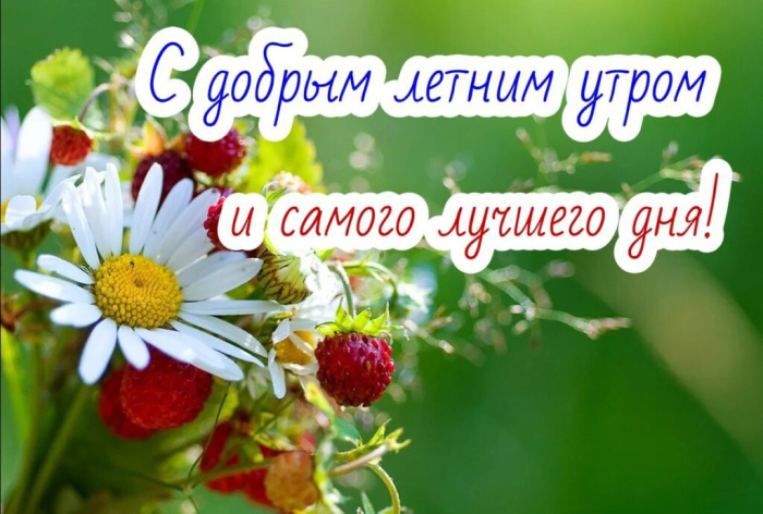 Картинки с добрым летним утром (195 открыток). Доброе летнее утро: картинки с надписями