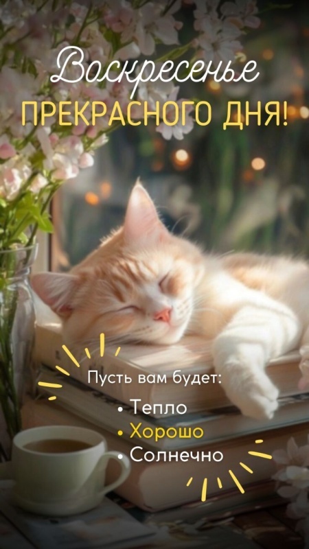 Картинки Доброе утро воскресенья (90 открыток). Прикольные картинки Доброе утро воскресенья