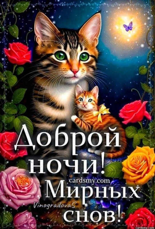 Картинки Доброй ночи красивые и прикольные. Картинки с пожеланием Доброй ночи