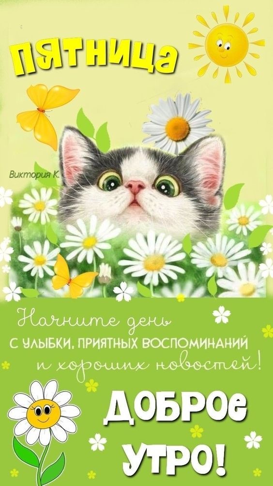 Картинки Доброе утро пятницы. Картинки Доброе утро пятницы прикольные 