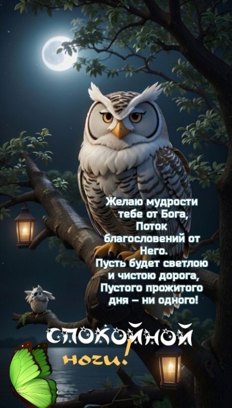 Картинки Спокойной ночи красивые, летние, прикольные. Спокойной ночи - картинки с пожеланиями