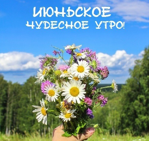 Картинки с добрым июньским утром (140 открыток). Доброе утро июня: картинки с надписями