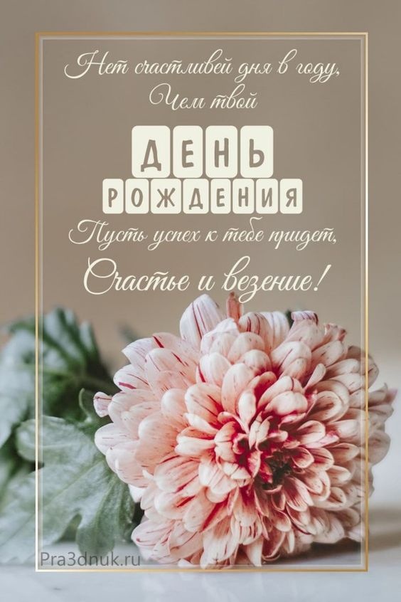 Картинки на День рождения женщине (100 открыток). С Днем рождения - картинки с пожеланиями для женщины