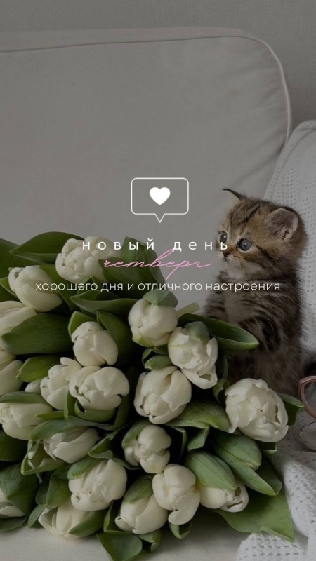 Картинки Доброе утро четверга (80 открыток). Стильные кргартинки Доброе утро четверга