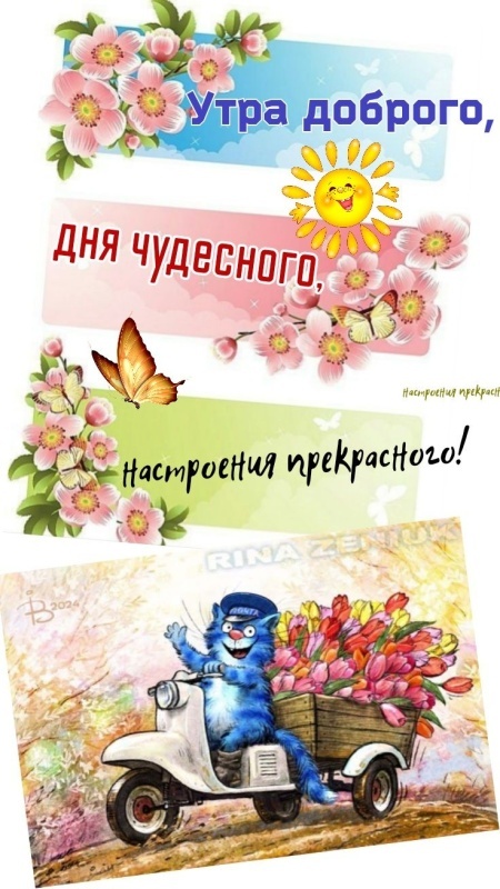 Красивые картинки "Хорошего дня" . Красивые картинки Хорошего дня и Доброго утра 