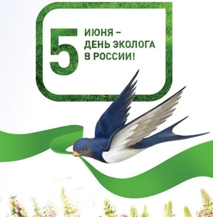 Картинки с Днем эколога (60 открыток). Красивые картинки с Днем эколога