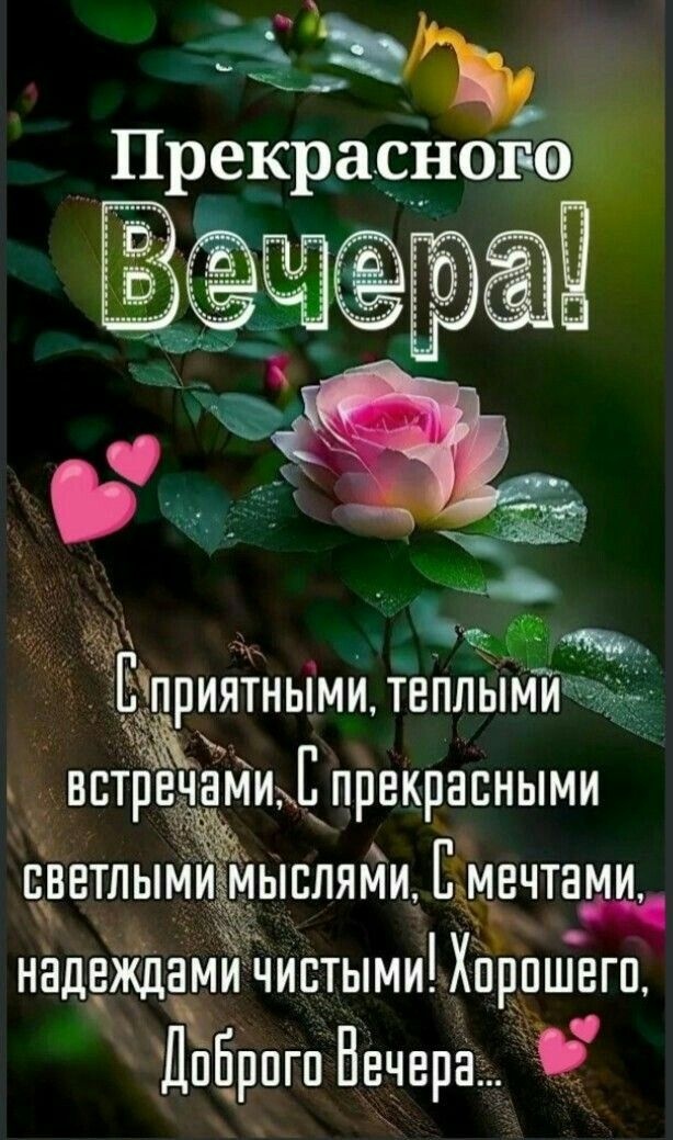Красивые картинки Добрый летний вечер (70 открыток). Доброго летнего вечера - картинки с пожеланиями