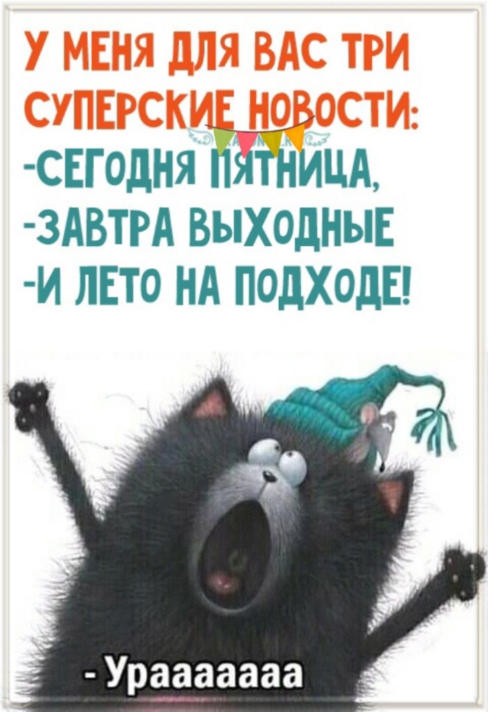 Картинки Доброе утро пятницы. Прикольные картинки Доброе утро пятницы