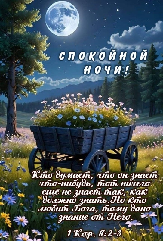 Картинки Спокойной ночи красивые, летние, прикольные. Спокойной ночи - картинки с пожеланиями