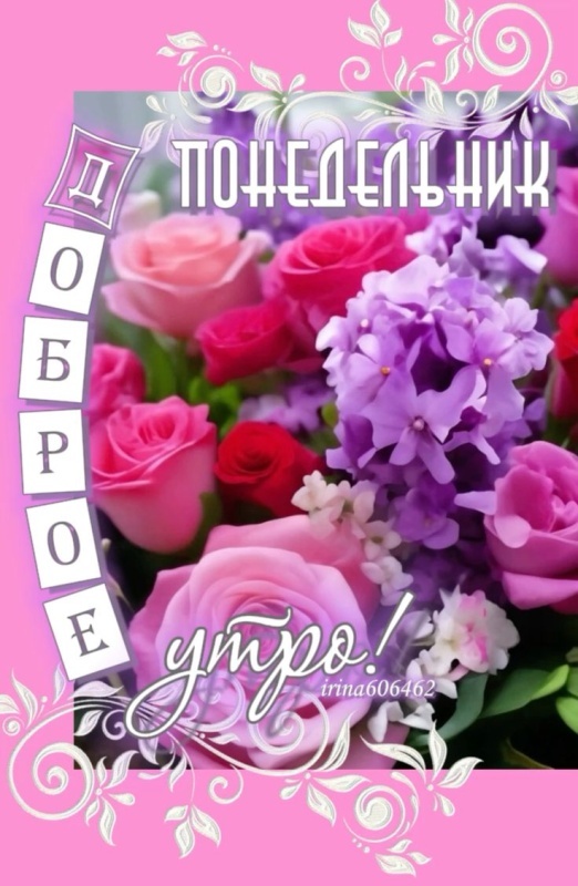 Открытки с Добрым утром понедельника (80 картинок). Картинки Доброе утро понедельника (красивые и новые)