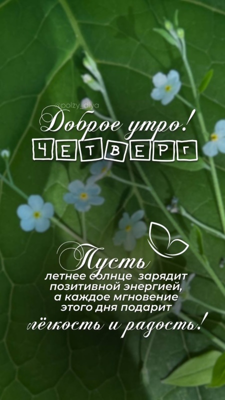 Картинки Доброе утро четверга (80 открыток). Стильные кргартинки Доброе утро четверга