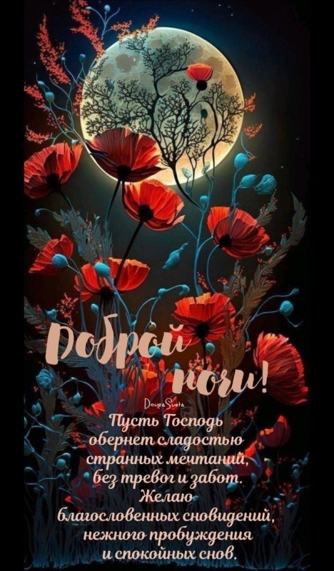 Картинки Спокойной ночи красивые, летние, прикольные. Спокойной ночи - картинки с пожеланиями