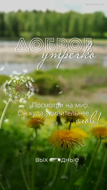 Картинки Доброе июльское утро. Красивые картинки Доброго июльского утра