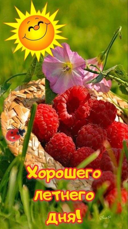 Красивые картинки "Хорошего дня" . Картинки "Хорошего дня" красивые летние