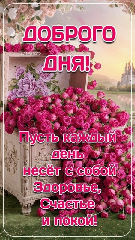 Красивые картинки "Хорошего дня" . Картинки "Хорошего дня" красивые летние