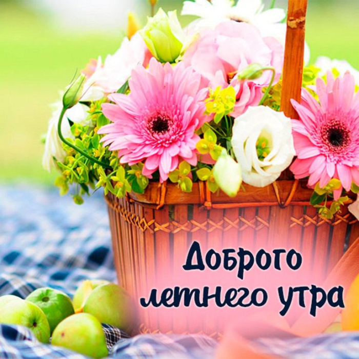 Картинки с добрым летним утром (195 открыток). Доброе летнее утро: картинки с надписями