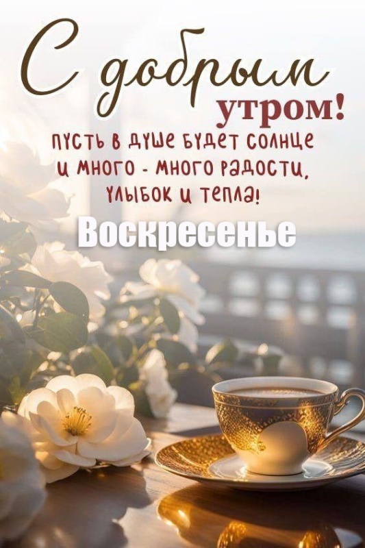 Картинки Доброе утро воскресенья (90 открыток). Картинки "Доброе утро воскресенья" красивые и новые