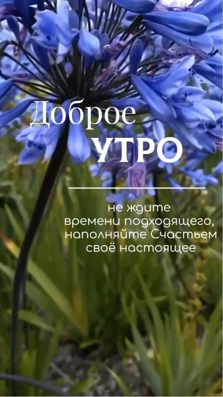 Картинки Доброе июльское утро. Красивые картинки Доброго июльского утра