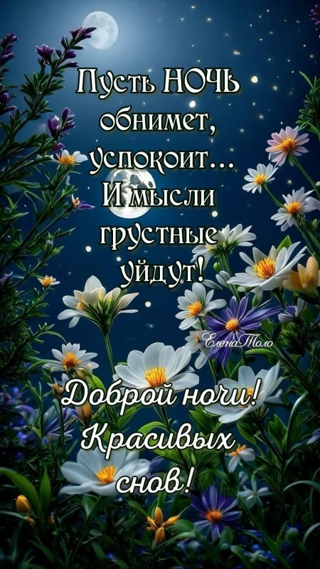 Картинки Спокойной ночи красивые, летние, прикольные. Красивые картинки "Спокойно ночи" летние