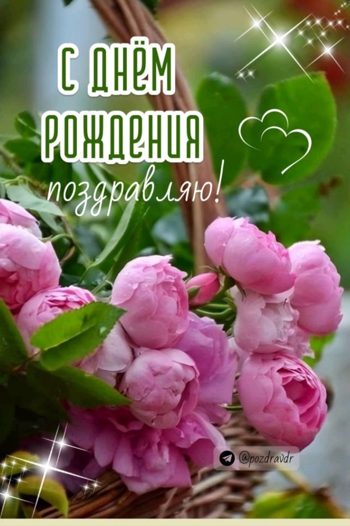Картинки на День рождения женщине (100 открыток). Красивые картинки с Днем рождения женщине